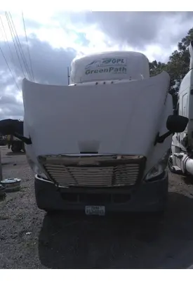 FREIGHTLINER CASCADIA 113 HOOD