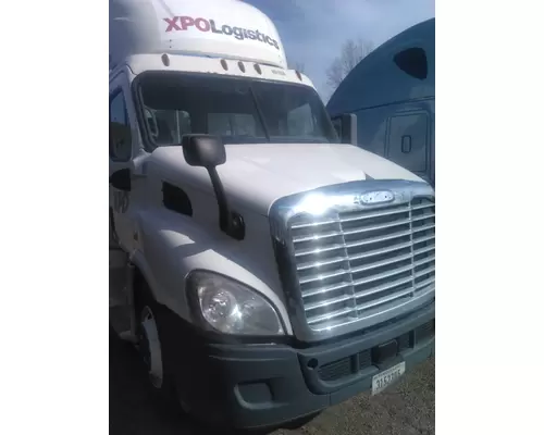 FREIGHTLINER CASCADIA 113 HOOD