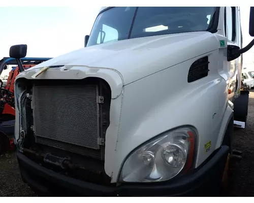 FREIGHTLINER CASCADIA 113 Hood