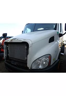 FREIGHTLINER CASCADIA 113 Hood