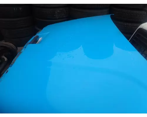 FREIGHTLINER CASCADIA 113 Hood