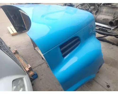 FREIGHTLINER CASCADIA 113 Hood