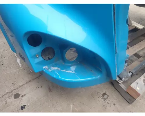 FREIGHTLINER CASCADIA 113 Hood