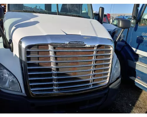 FREIGHTLINER CASCADIA 113 Hood