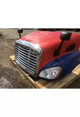 FREIGHTLINER CASCADIA 113 Hood