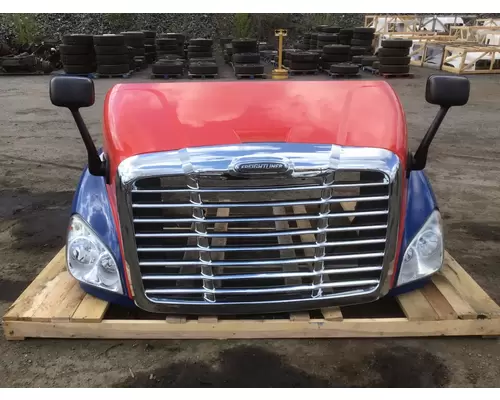 FREIGHTLINER CASCADIA 113 Hood