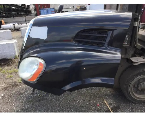 FREIGHTLINER CASCADIA 113 Hood