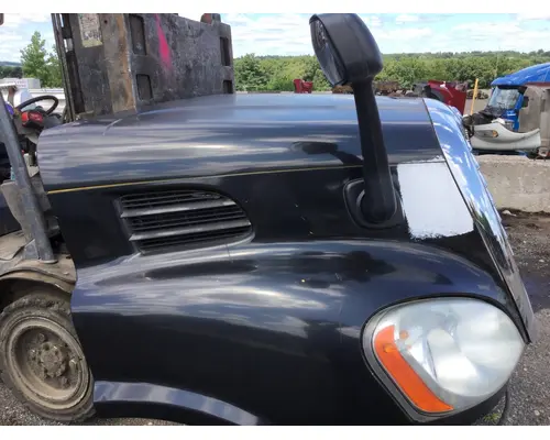 FREIGHTLINER CASCADIA 113 Hood