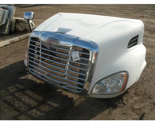 FREIGHTLINER CASCADIA 113 Hood