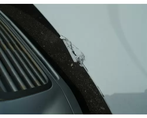 FREIGHTLINER CASCADIA 113 Hood