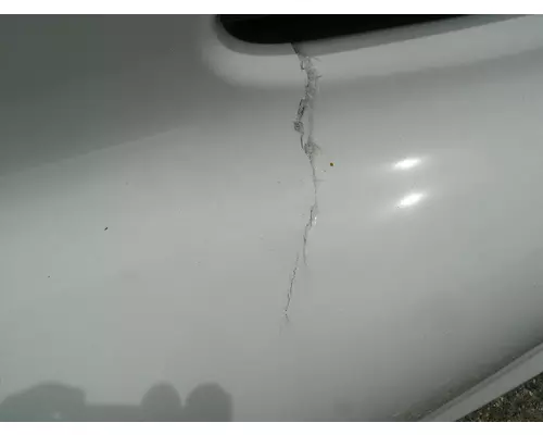 FREIGHTLINER CASCADIA 113 Hood