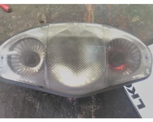 FREIGHTLINER CASCADIA 113 INTERIOR CAB LIGHT