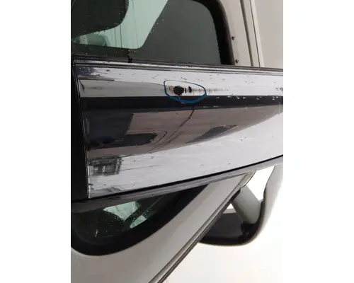 FREIGHTLINER CASCADIA 113 MIRROR ASSEMBLY CABDOOR