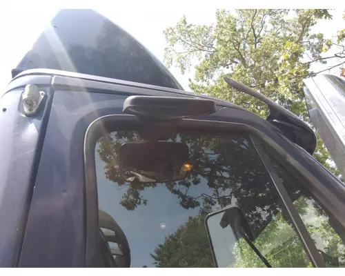 FREIGHTLINER CASCADIA 113 MIRROR LOOK DOWN