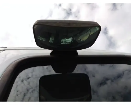 FREIGHTLINER CASCADIA 113 MIRROR LOOK DOWN