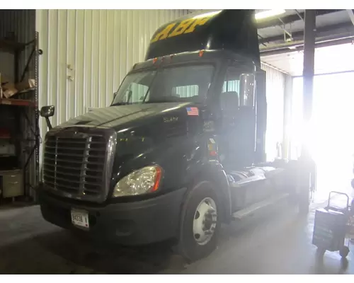 FREIGHTLINER CASCADIA 113 Radiator