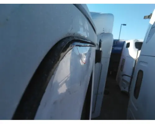 FREIGHTLINER CASCADIA 116-126 DOOR ASSEMBLY, FRONT