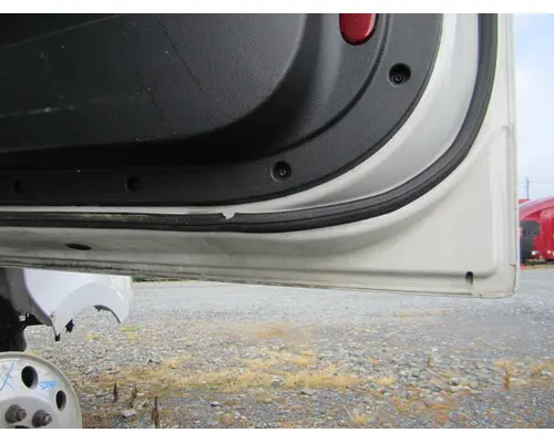 FREIGHTLINER CASCADIA 116-126 DOOR ASSEMBLY, FRONT