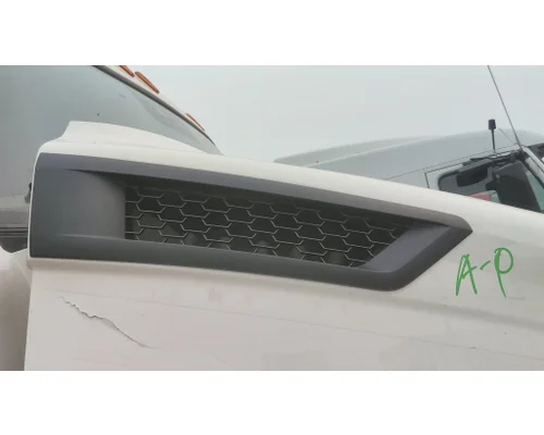 FREIGHTLINER CASCADIA 116 AIR INTAKE LOUVERCOVER