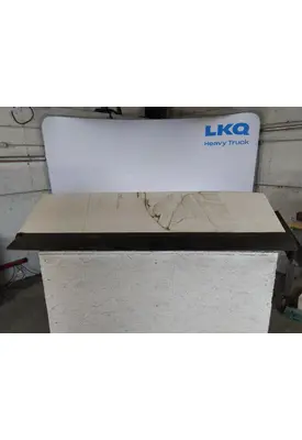 FREIGHTLINER CASCADIA 116 CAB EXTENSION