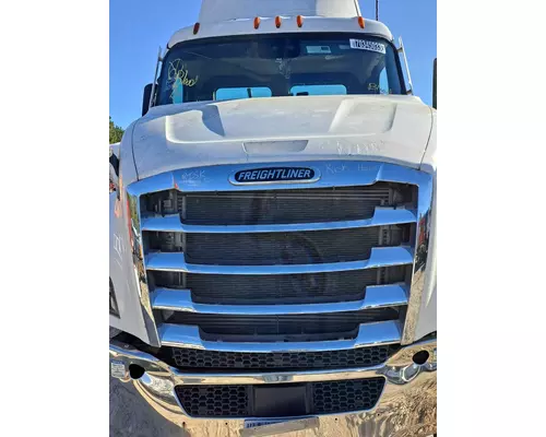 FREIGHTLINER CASCADIA 116 GRILLE