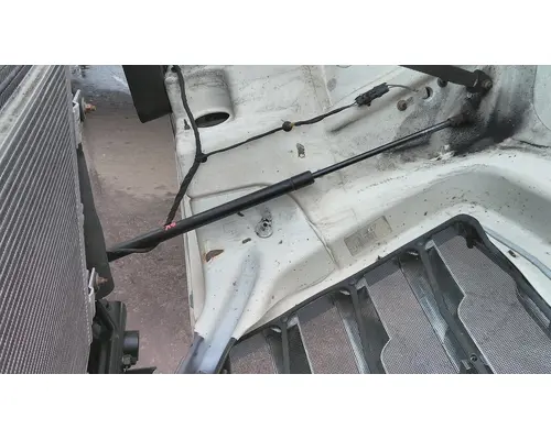 FREIGHTLINER CASCADIA 116 HOOD SHOCKSTRUT