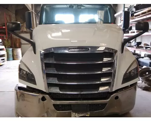 FREIGHTLINER CASCADIA 116 HOOD