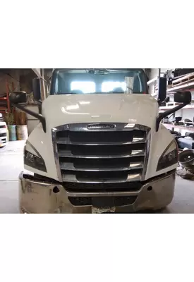 FREIGHTLINER CASCADIA 116 HOOD