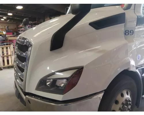 FREIGHTLINER CASCADIA 116 HOOD