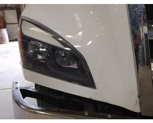 FREIGHTLINER CASCADIA 116 HOOD