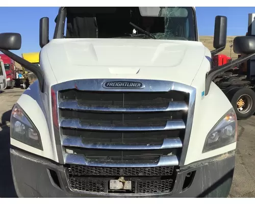 FREIGHTLINER CASCADIA 116 HOOD