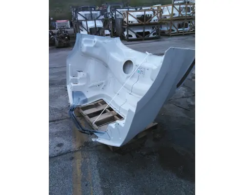 FREIGHTLINER CASCADIA 116 HOOD