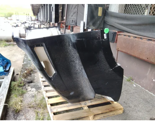 FREIGHTLINER CASCADIA 116 HOOD