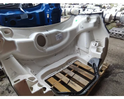 FREIGHTLINER CASCADIA 116 HOOD