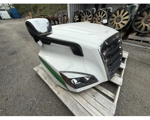 FREIGHTLINER CASCADIA 116 Hood