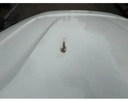 FREIGHTLINER CASCADIA 116 Hood