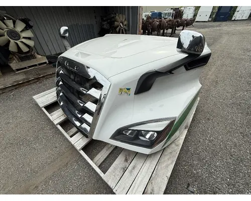 FREIGHTLINER CASCADIA 116 Hood