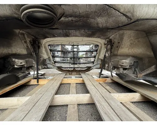 FREIGHTLINER CASCADIA 116 Hood