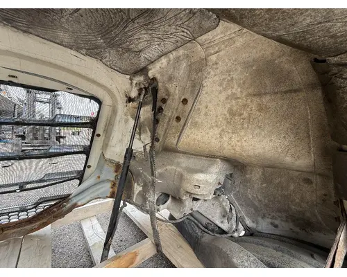 FREIGHTLINER CASCADIA 116 Hood