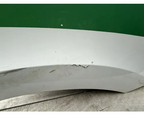 FREIGHTLINER CASCADIA 116 Hood