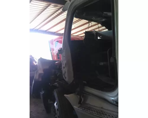 FREIGHTLINER CASCADIA 116 MIRROR ASSEMBLY CABDOOR