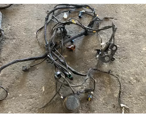 FREIGHTLINER CASCADIA 116 Wiring Harness