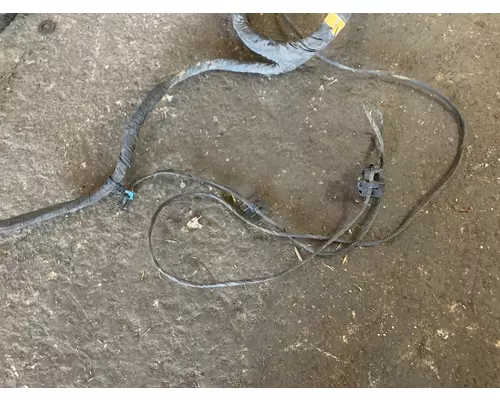 FREIGHTLINER CASCADIA 116 Wiring Harness