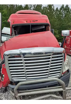 FREIGHTLINER CASCADIA 125 2008-2015 GRILLE