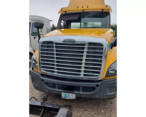 FREIGHTLINER CASCADIA 125 2008-2015 GRILLE