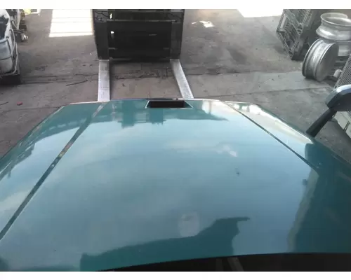 FREIGHTLINER CASCADIA 125 2008-2020 HOOD