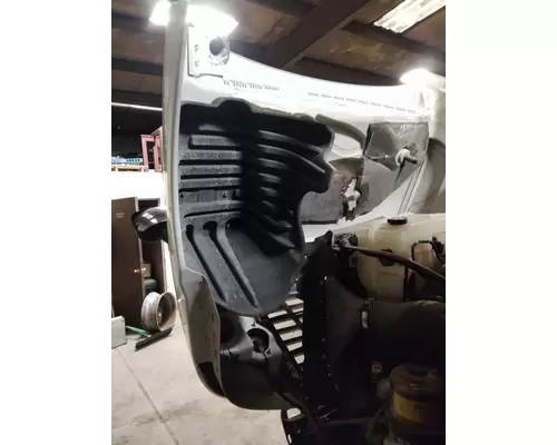 FREIGHTLINER CASCADIA 125 2008-2020 HOOD