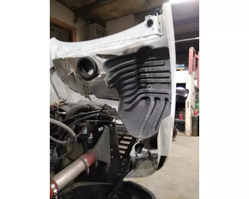 FREIGHTLINER CASCADIA 125 2008-2020 HOOD