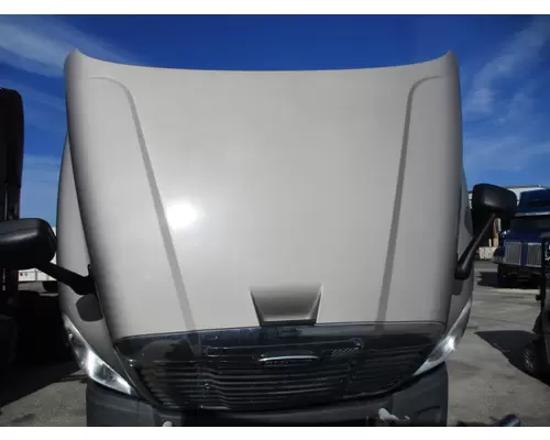 FREIGHTLINER CASCADIA 125 2008-2020 HOOD