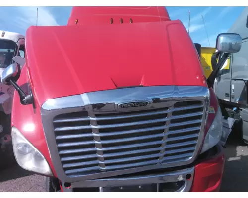 FREIGHTLINER CASCADIA 125 2008-2020 HOOD